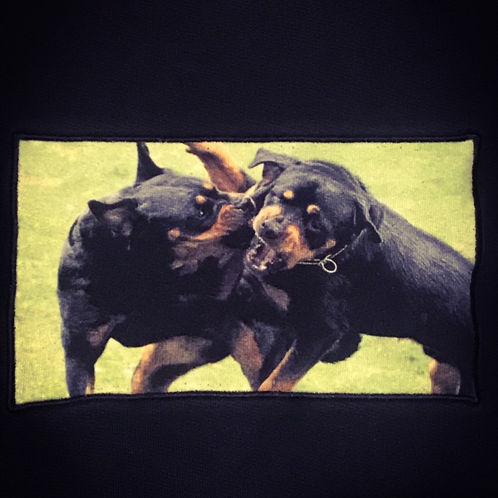 **SOLD Givenchy Rottweiler print sweater - Picture 3 of 5
